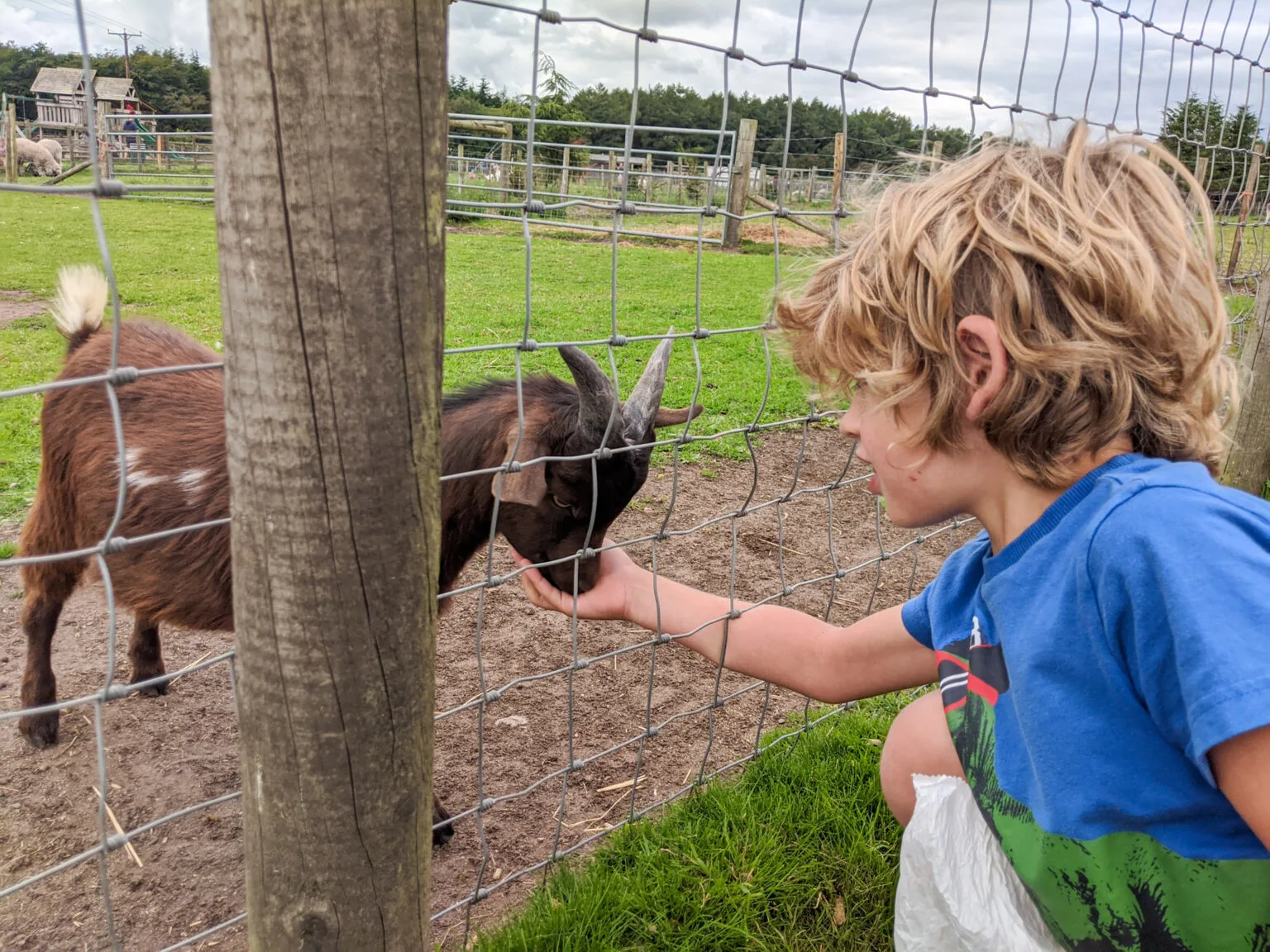 Matlock farm park