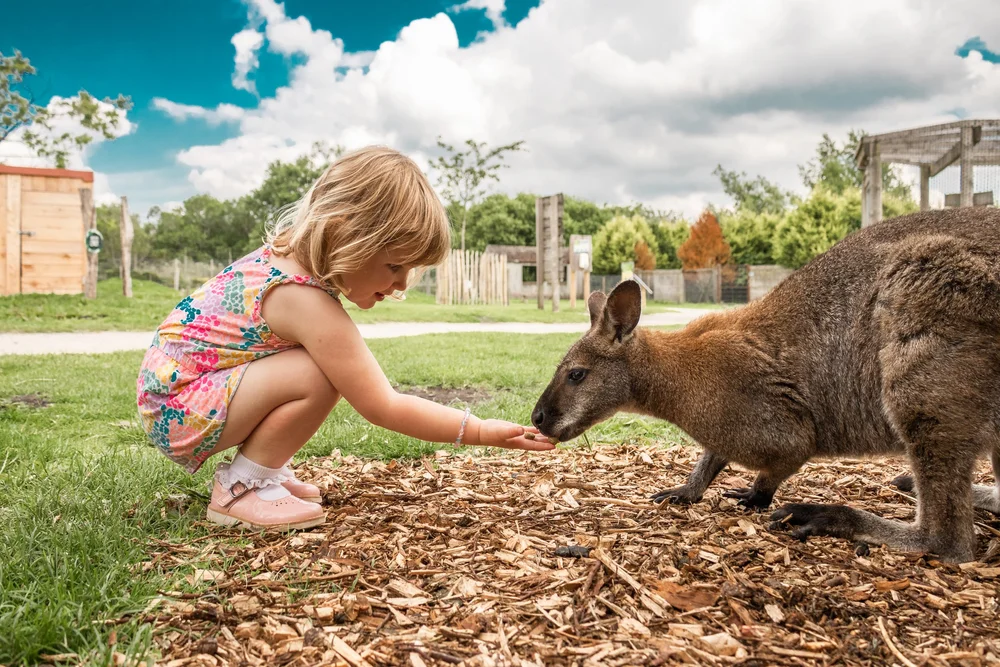 Peak Wildlife Park